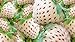 Photo White Strawberry Seeds - 200+ Seeds - White Pineberry Seeds - Made in USA, Ships from Iowa. new bestseller 2024-2023