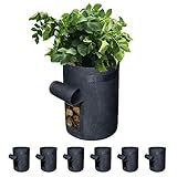Gardzen 6 Pack BPA-Free 10 Gallon Vegetable Grow Bags with Access Flap and Handles, Suitable for Planting Potato, Taro, Beets, Carrots, Onions, Peanut Photo, bestseller 2024-2023 new, best price $21.99 review