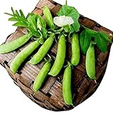 50 Sugar Ann Snap Pea Heirloom Seeds - Non GMO - Neonicotinoid-Free Photo, bestseller 2024-2023 new, best price $8.99 ($0.18 / Count) review