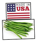 Green Bean Seeds-Heirloom Variety-Bush Bean Planting Seeds-50+ Seeds-USA Grown and Shipped from USA Photo, bestseller 2024-2023 new, best price $6.99 review