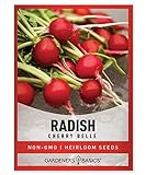 Radish Seeds for Planting - Cherry Belle Variety Heirloom, Non-GMO Vegetable Seed - 2 Grams of Seeds Great for Outdoor Spring, Winter and Fall Gardening by Gardeners Basics Photo, bestseller 2024-2023 new, best price $4.95 review