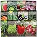 Photo Sow Right Seeds - Classic Vegetable Garden Seed Collection for Planting - Non-GMO Heirloom Beets, Cabbage, Carrot, Cucumber, Eggplant, Kale, Lettuce, Tomato, Peppers, Radish, Watermelon, and Zucchini new bestseller 2024-2023