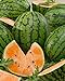 Photo David's Garden Seeds Fruit Watermelon Tendersweet Orange 1342 (Orange) 50 Non-GMO, Heirloom Seeds new bestseller 2024-2023