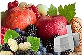 Fruit Combo Pack Raspberry, BlackBerry, Blueberry, Strawberry, Apple, Mulberry 575+ Seeds UPC 695928808755 & 4 Free Plant Markers Photo, bestseller 2024-2023 new, best price $8.15 review