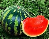 Seeds4planting - Seeds Watermelon Crimson Sweet Giant Heirloom Vegetable Non GMO Photo, bestseller 2024-2023 new, best price $8.94 review