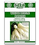 White Icicle Radish Seeds - 200 Seed Non-GMO Photo, bestseller 2024-2023 new, best price $1.59 ($0.01 / Count) review