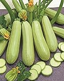 Seeds Squash Zucchini Aspirant 38 Days White Bush Vegetable for Planting Heirloom Non GMO Photo, bestseller 2024-2023 new, best price $7.99 review
