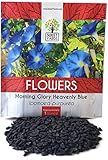 Morning Glory Seeds Heavenly Blue - Large 1 Ounce Packet - Over 1,000 Flower Seeds Photo, bestseller 2024-2023 new, best price $7.97 review