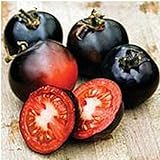 Indigo Rose Tomato Seeds (20+ Seeds) | Non GMO | Vegetable Fruit Herb Flower Seeds for Planting | Home Garden Greenhouse Pack Photo, bestseller 2024-2023 new, best price $3.69 ($0.18 / Count) review