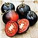 Photo Indigo Rose Tomato Seeds (20+ Seeds) | Non GMO | Vegetable Fruit Herb Flower Seeds for Planting | Home Garden Greenhouse Pack new bestseller 2024-2023