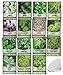 Photo 15 Herb Seeds For Planting Varieties Heirloom Non-GMO 5200+ Seeds Indoors, Hydroponics, Outdoors - Basil, Catnip, Chive, Cilantro, Oregano, Parsley, Peppermint, Rosemary and More By Gardeners Basics new bestseller 2024-2023