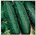 Photo 50 Marketmore 76 Cucumber Seeds | Non-GMO | Heirloom | Instant Latch Garden Seeds new bestseller 2024-2023