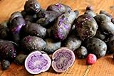 Simply Seed - Purple Majesty - Naturally Grown Seed Potatoes - 5 LB- Ready for Spring Planting Photo, bestseller 2024-2023 new, best price $25.99 ($0.32 / Ounce) review