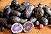 Photo Simply Seed - Purple Majesty - Naturally Grown Seed Potatoes - 5 LB- Ready for Spring Planting new bestseller 2024-2023