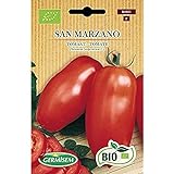 Germisem Orgánica San Marzano Semillas de Tomate 0.5 g Foto, éxito de ventas 2024-2023 nuevo, mejor precio 3,99 € revisión