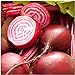 Photo Seed Needs, Chioggia Beets (Beta vulgaris) Bulk Package of 2,000 Seeds Non-GMO new bestseller 2024-2023