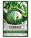 Photo Cabbage Seeds for Planting - Golden Acre Green Heirloom, Non-GMO Vegetable Variety- 1 Gram Approx 225 Seeds Great for Summer, Spring, Fall, and Winter Gardens by Gardeners Basics new bestseller 2024-2023