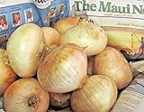 AchmadAnam Somarac - 400+ Maui Sweet Onion Seeds Short Day Spring / Fall Planting Easy - Fresh Seeds Photo, bestseller 2024-2023 new, best price $16.00 review