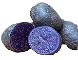Purple Majesty Seed Potato 6 Tubers - Heirloom - Great Taste! Photo, bestseller 2024-2023 new, best price $16.57 review