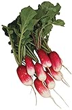 Burpee French Breakfast Organic Radish Seeds 325 seeds Photo, bestseller 2024-2023 new, best price $7.99 review