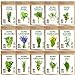 Photo Seedra 15 Herb Seeds Variety Pack - 4500+ Non-GMO Heirloom Seeds for Planting Hydroponic Indoor or Outdoor Home Garden - Lavender, Parsley, Cilantro, Basil, Thyme, Mint, Rosemary, Dill & More new bestseller 2024-2023