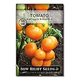 Sow Right Seeds - Kellogg's Breakfast Tomato Seed for Planting - Non-GMO Heirloom Packet with Instructions to Plant a Home Vegetable Garden Photo, bestseller 2024-2023 new, best price $4.99 review