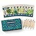Photo 9 Herb Garden Seeds for Planting - USDA Certified Organic Herb Seed Packets - Non GMO Heirloom Seeds - Plant Markers & Gift Box - Tulsi Holy Basil, Cilantro, Mint, Dill, Sage, Arugula, Thyme, Chives new bestseller 2024-2023