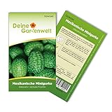 Mexikanische Minigurke Samen - Melothria scabra - Minigurkensamen - Gemüsesamen - Saatgut für 10 Pflanzen Foto, Bestseller 2024-2023 neu, bester Preis 1,99 € (0,20 € / stück) Rezension