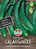 Gurkensamen - Salatgurke Chinese Slangen von Sperli-Samen Foto, Bestseller 2024-2023 neu, bester Preis 2,17 € Rezension