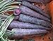 Photo David's Garden Seeds Carrot Purple Sun 1123 (Purple) 200 Non-GMO, Hybrid Seeds new bestseller 2024-2023