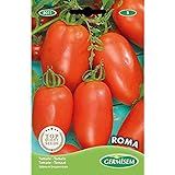Germisem Roma Semillas de Tomate 1 g, EC8011 Foto, éxito de ventas 2024-2023 nuevo, mejor precio 2,21 € revisión