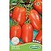 Foto Germisem Roma Semillas de Tomate 1 g, EC8011 nuevo éxito de ventas 2024-2023