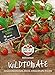 Foto 83235 Sperli Premium Tomatensamen Red Currant | Buschtomaten Samen | Tomatensamen Resistent | Wildtomaten Samen | Johannisbeertomaten Samen | Wildtomate rote murmel | Alte Tomatensorten neu Bestseller 2024-2023