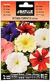 Semillas Batlle - Petunia Compacta VARIADA, Multicolor Foto, éxito de ventas 2024-2023 nuevo, mejor precio 1,88 € revisión