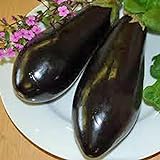 Eggplant,Black Beauty Eggplant Seed, Heirloom, , Non GMO, 25 Seeds, Vegetable Photo, bestseller 2024-2023 new, best price $1.99 ($0.08 / Count) review