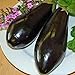 Photo Eggplant,Black Beauty Eggplant Seed, Heirloom, , Non GMO, 25 Seeds, Vegetable new bestseller 2024-2023