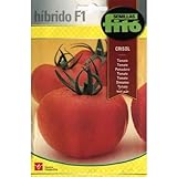 Semillas Fitó Híbridos 4049 - Tomate Crisol Foto, éxito de ventas 2024-2023 nuevo, mejor precio 3,98 € revisión