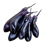Burpee Millionaire Hybrid Eggplant Seeds 30 seeds Photo, bestseller 2024-2023 new, best price $7.27 review