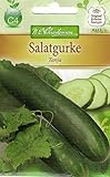 Chrestensen Salatgurke 'Tanja' Foto, Bestseller 2024-2023 neu, bester Preis 2,99 € (2,99 € / l) Rezension