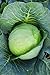 Photo Burpee Brunswick Cabbage Seeds 260 seeds new bestseller 2024-2023