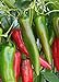 Photo 100 Anaheim Chili Pepper Seeds | Non-GMO | Fresh Garden Seeds new bestseller 2024-2023