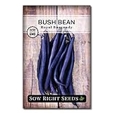 Sow Right Seeds - Royal Burgundy Bean Seed for Planting - Non-GMO Heirloom Packet with Instructions to Plant a Home Vegetable Garden Photo, bestseller 2024-2023 new, best price $5.49 review
