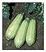 Photo David's Garden Seeds Zucchini Tender Grey 5312 (Green) 50 Non-GMO, Heirloom Seeds new bestseller 2024-2023