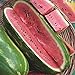 Photo Jubilee Sweet Watermelon Seeds, 75 Heirloom Seeds Per Packet, Non GMO Seeds new bestseller 2024-2023