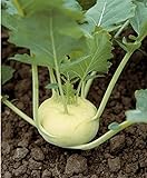 300 semillas de colo rava blanca – Verduras antiguas huertas – Método ecológico Foto, éxito de ventas 2024-2023 nuevo, mejor precio 4,24 € revisión