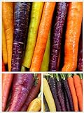 Homegrown Carrot Seeds, 1000 Seeds, Rainbow Supreme Carrot Mixture No GMO Photo, bestseller 2024-2023 new, best price $5.49 review
