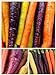 Photo Homegrown Carrot Seeds, 1000 Seeds, Rainbow Supreme Carrot Mixture No GMO new bestseller 2024-2023