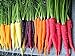Photo 500+ Rainbow Carrot Seeds to Grow - Colorful Blend of Exotic Colored Carrots. Edible Vegetables. Made in USA new bestseller 2024-2023