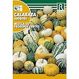 Semillas de Calabaza mezcla de pequeños frutos Foto, éxito de ventas 2024-2023 nuevo, mejor precio 1,62 € revisión