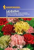 Sperli Blumensamen Landnelken gefüllte Mischung, grün Foto, Bestseller 2024-2023 neu, bester Preis 2,01 € (2,01 € / stück) Rezension